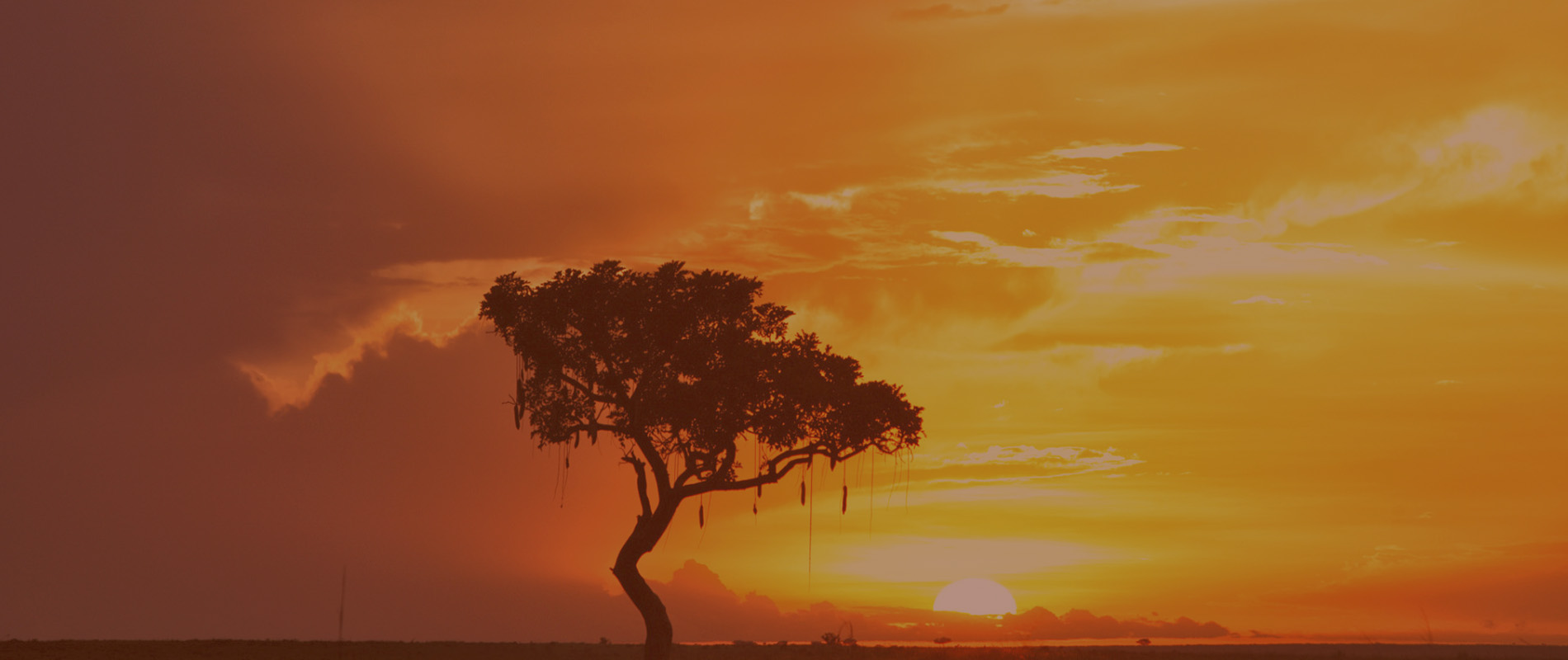FireBible Africa